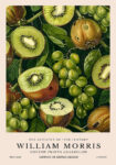 Πινακας σε καμβά WILLIAM MORRIS - KIWI FRUIT