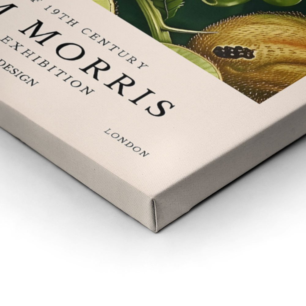 Πινακας σε καμβά WILLIAM MORRIS - KIWI FRUIT
