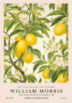 Πινακας σε καμβά WILLIAM MORRIS - LEMON TREE