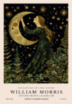 Πινακας σε καμβά WILLIAM MORRIS - MOON AND GIRL
