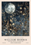 Πινακας σε καμβά WILLIAM MORRIS - MOON AND STARS 7