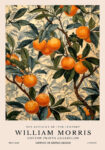 Πινακας σε καμβά WILLIAM MORRIS - ORANGE TREE