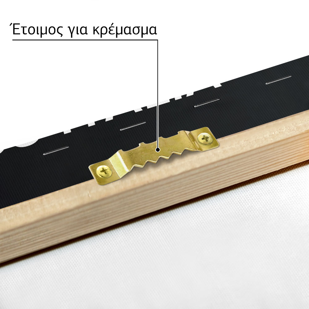 Πινακας σε καμβά 458 ITALIA FERRARI