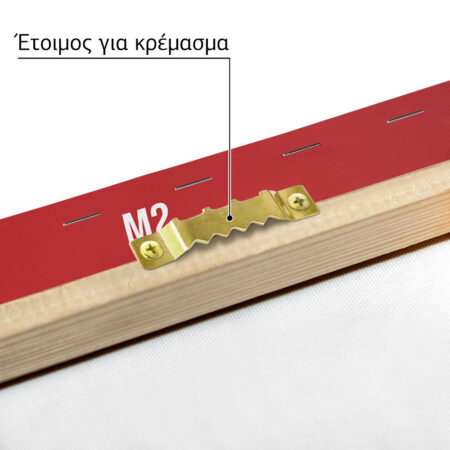 Πινακας σε καμβά BMW M2 SPECS - Αυτοκινητα Sticky 4
