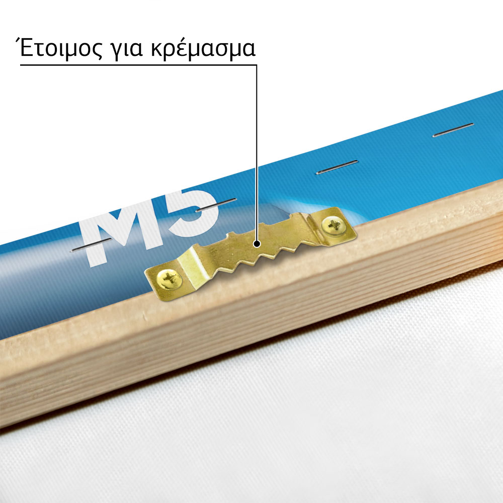 Πινακας σε καμβά BMW M5