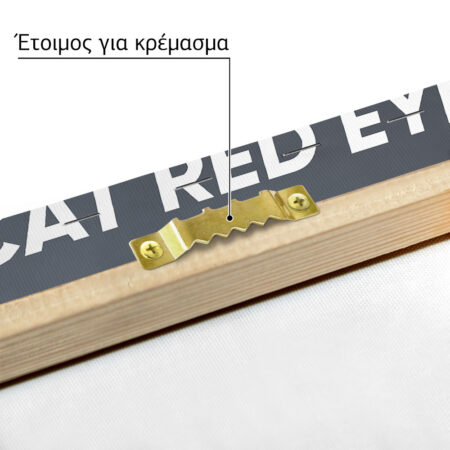Πινακας σε καμβά HELLCAT RED EYE - Αυτοκινητα Sticky 4