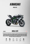 Πινακας σε καμβά KAWASAKI NINJA H2R IMPERIAL