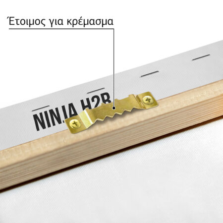 Πινακας σε καμβά KAWASAKI NINJA H2R IMPERIAL - Μηχανες Sticky 4