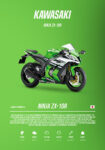 Πινακας σε καμβά KAWASAKI NINJA ZX-10R IMPERIAL