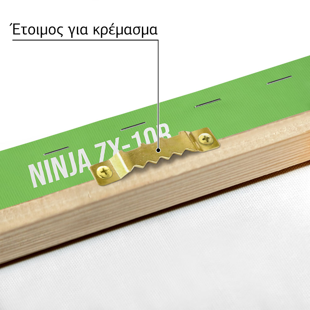 Πινακας σε καμβά KAWASAKI NINJA ZX-10R IMPERIAL