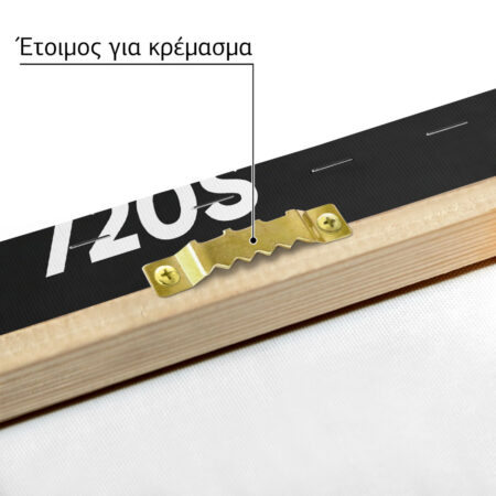 Πινακας σε καμβά MCLAREN 720S - Αυτοκινητα Sticky 4