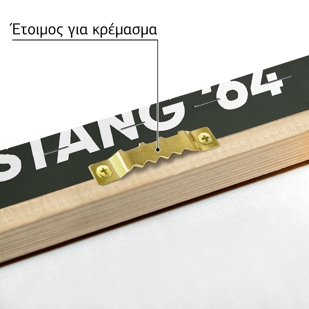 Πινακας σε καμβά MUSTANG 1964