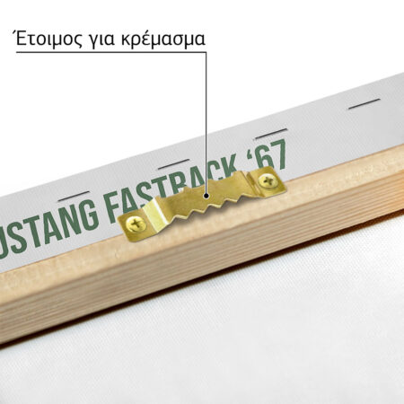 Πινακας σε καμβά MUSTANG FASTBACK - Αυτοκινητα Sticky 4