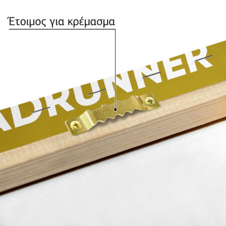 Πινακας σε καμβά PLYMOUTH ROADRUNNER - Αυτοκινητα Sticky 4