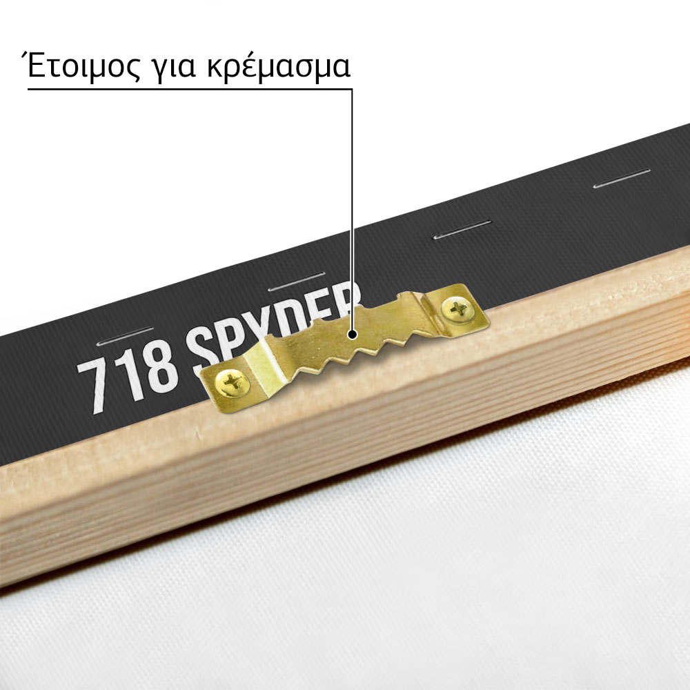 Πινακας σε καμβά PORSCHE 718 SPYDER IMPERIAL