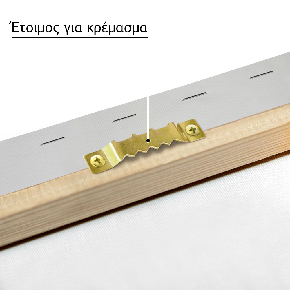 Πινακας σε καμβά PORSCHE