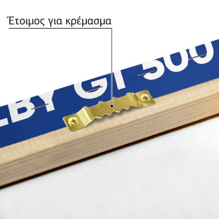 Πινακας σε καμβά SHELBY GT 500 - Αυτοκινητα Sticky 4