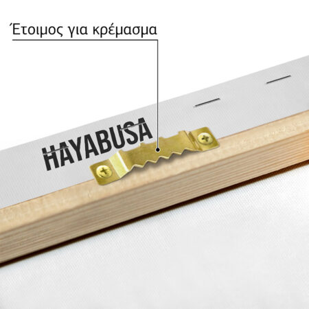 Πινακας σε καμβά SUZUKI HAYABUSA IMPERIAL - Μηχανες Sticky 4