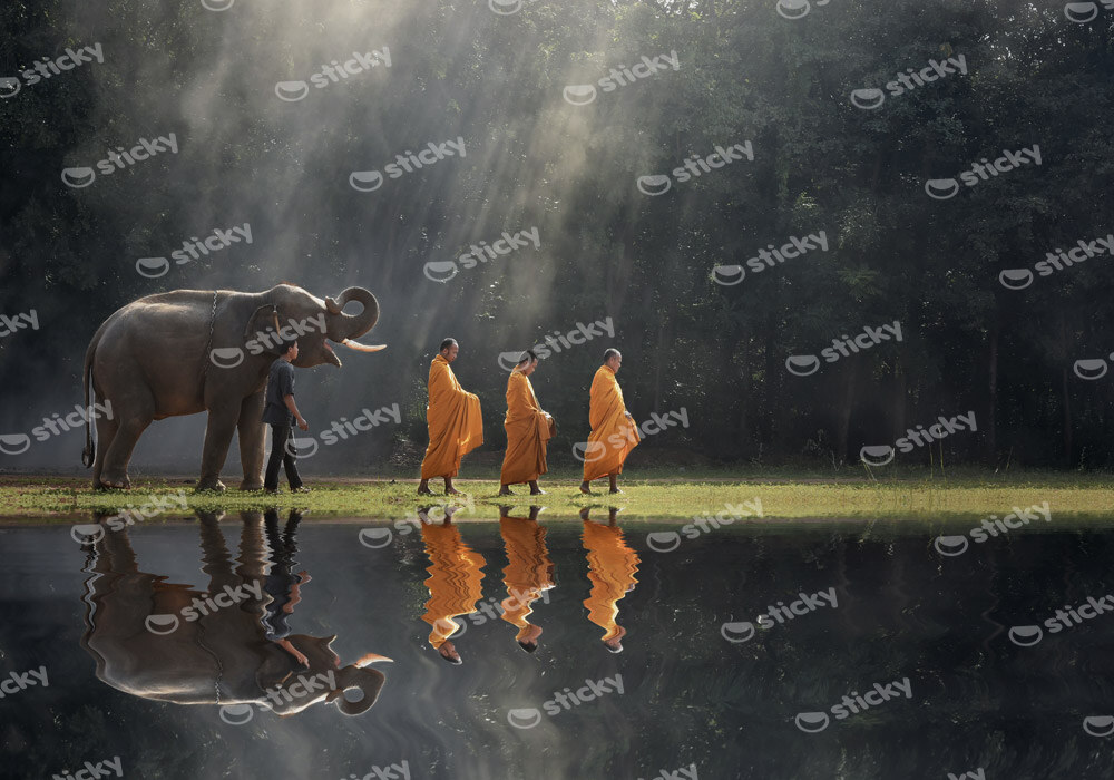Πινακας σε καμβά BUDDHISTS AND ELEPHANT