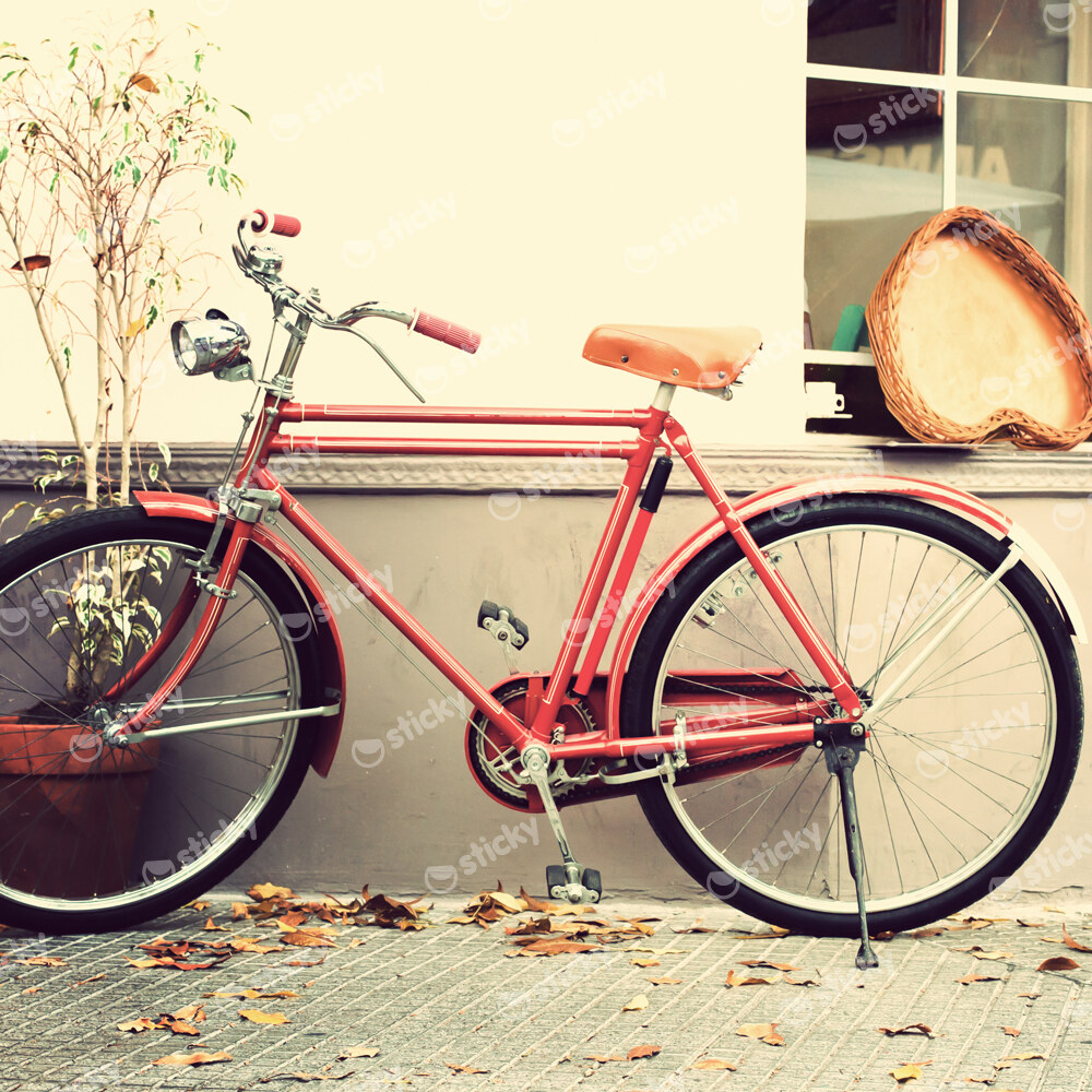 Πίνακας σε καμβά OLD RED BIKE