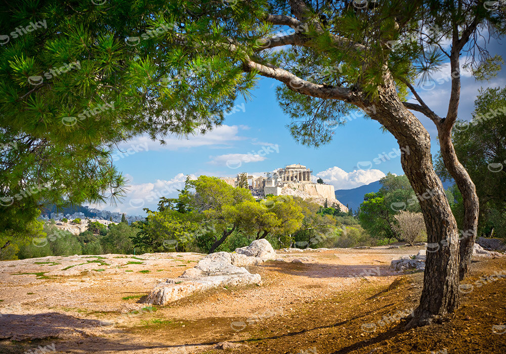 Πινακας σε καμβά ACROPOLIS HILL