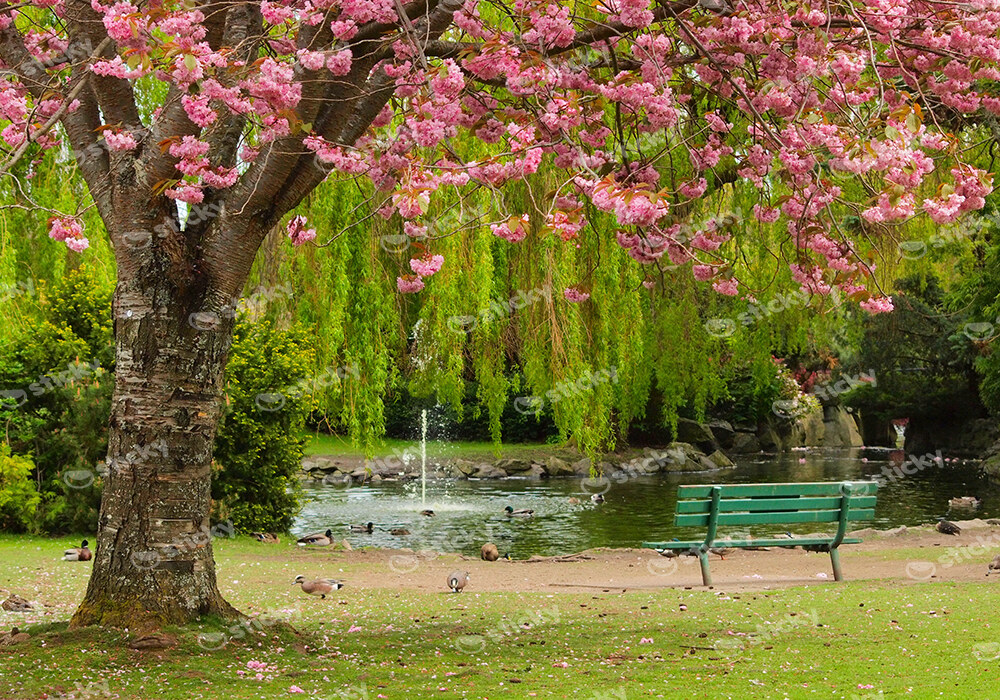 Πινακας σε καμβά BENCH POND