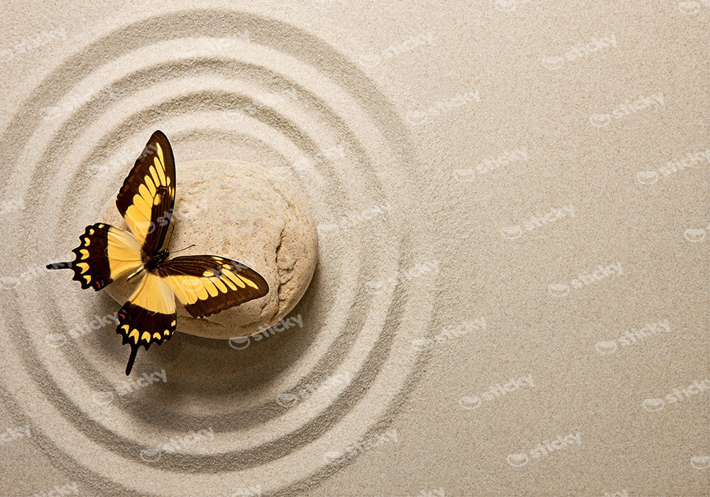 Πινακας σε καμβά BUTTERFLY ZEN