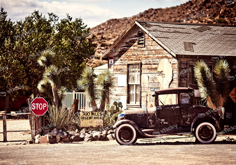 Πινακας σε καμβά DESERT OLD CAR