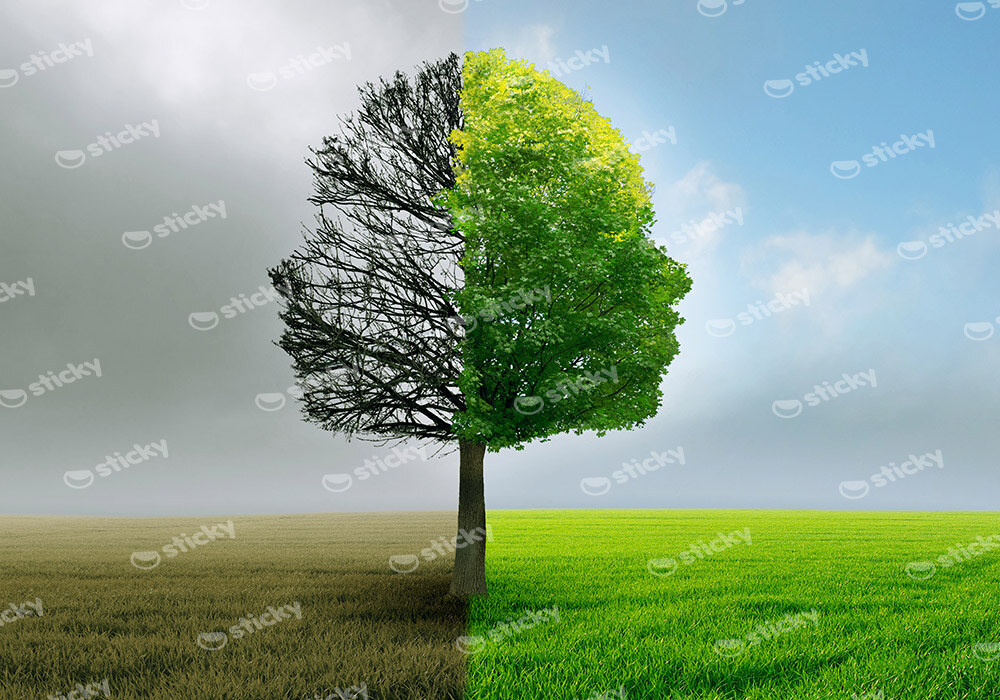 Πινακας σε καμβά HUMAN TREE
