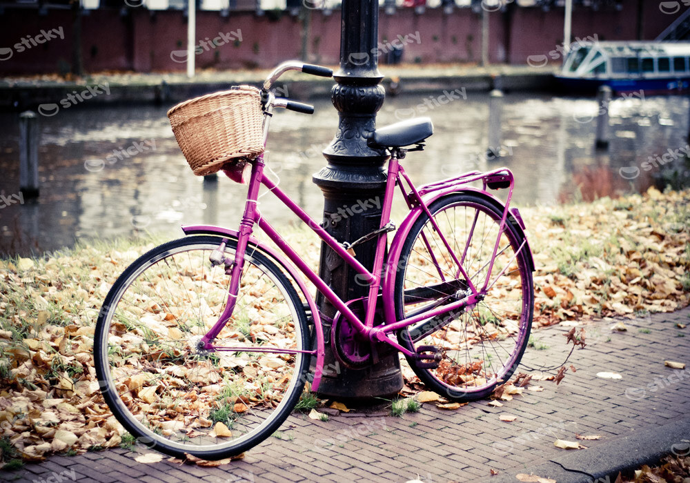 Πινακας σε καμβά PINK BIKE