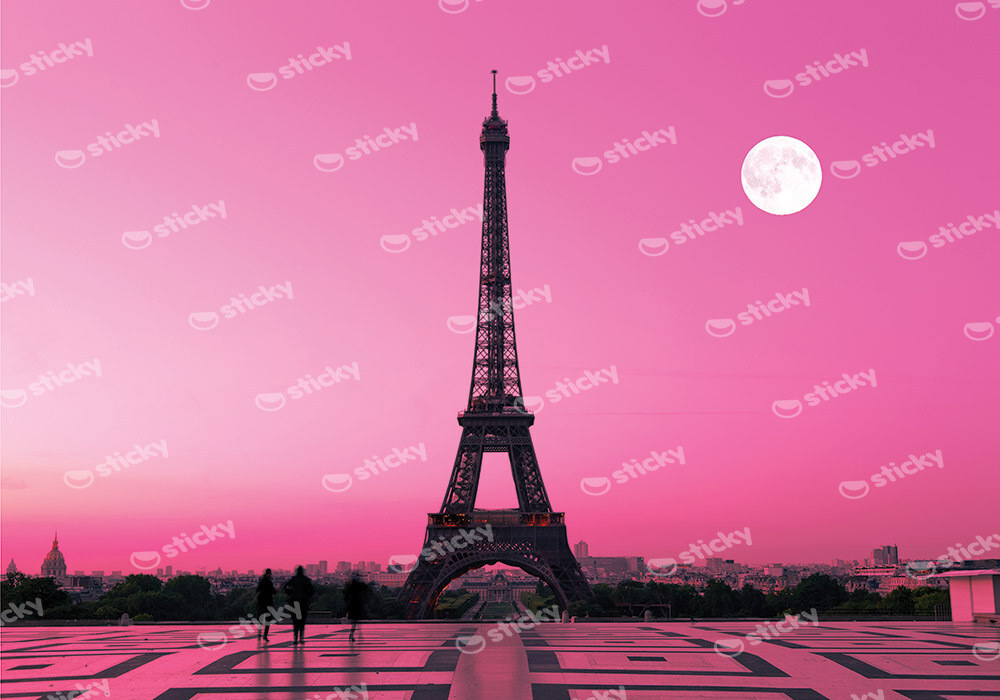 Πινακας σε καμβά PINK EIFFEL
