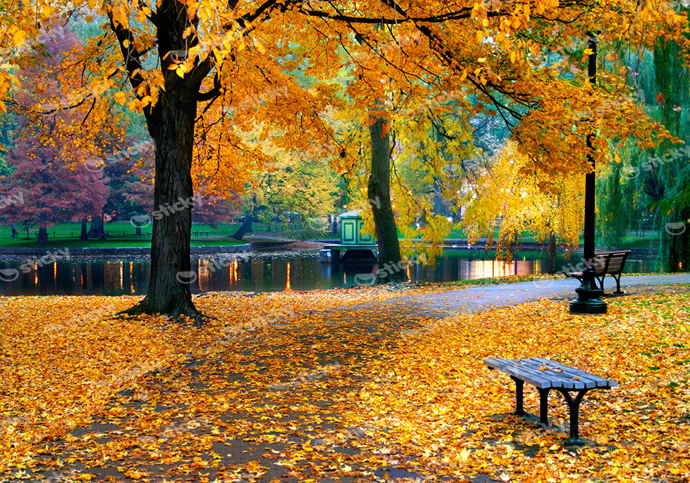 Πινακας σε καμβά PUBLIC GARDEN
