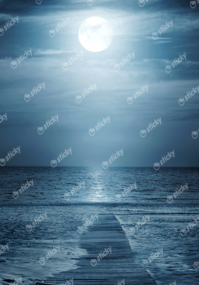 Πινακας σε καμβά MOONLIGHT