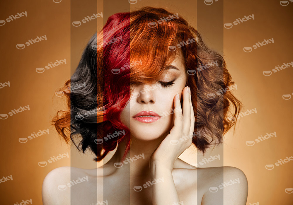 Πινακας σε καμβά HAIR COLOURS