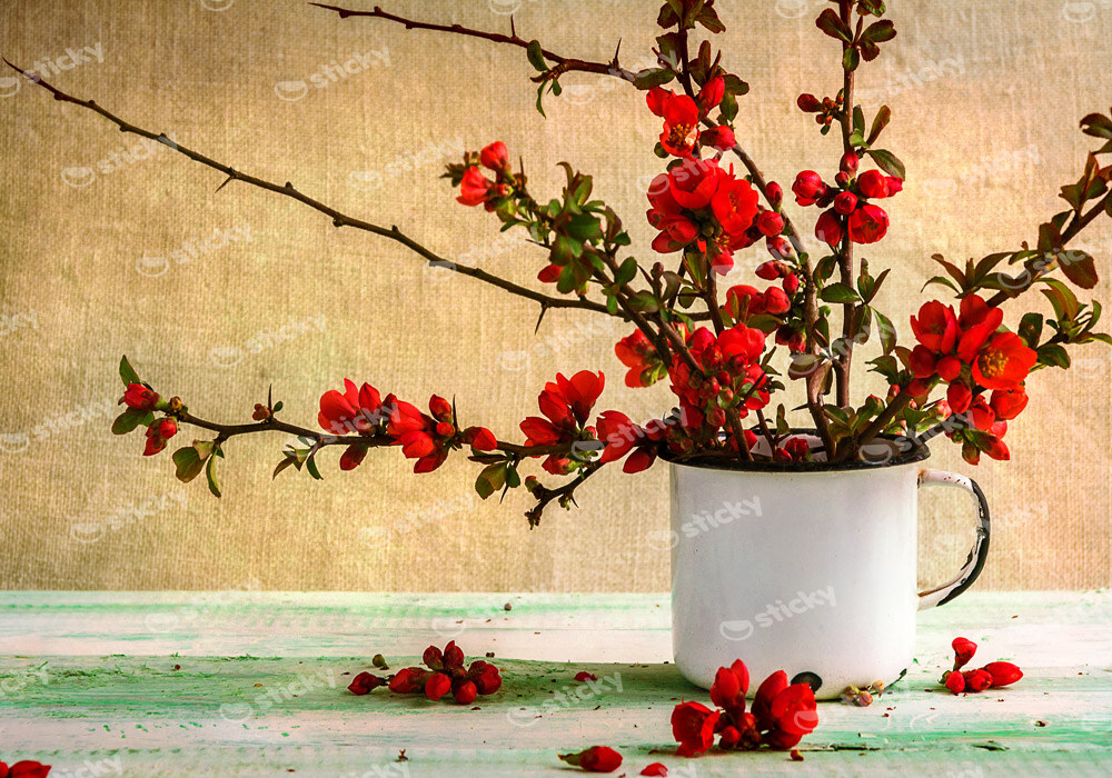 Πινακας σε καμβά BARBERRY BOUQUET