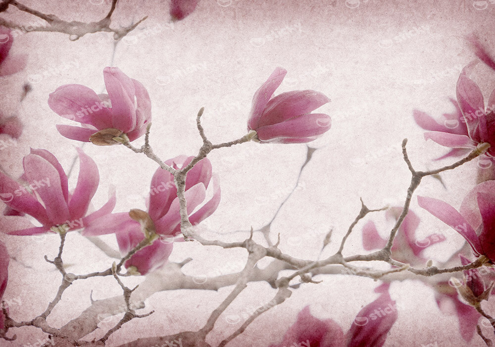 Πινακας σε καμβά MAGNOLIA FLOWERS ON OLD PAPER BACKGROUND