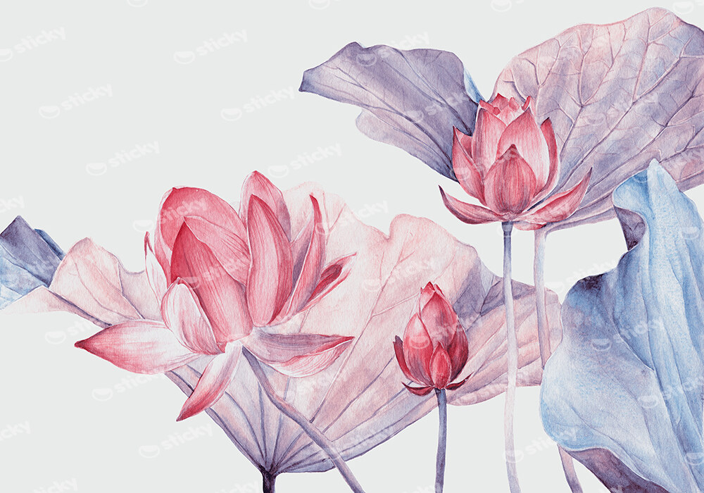 Πινακας σε καμβά WATERCOLOR BOTANICAL ILLUSTRATION LOTUS FLOWER