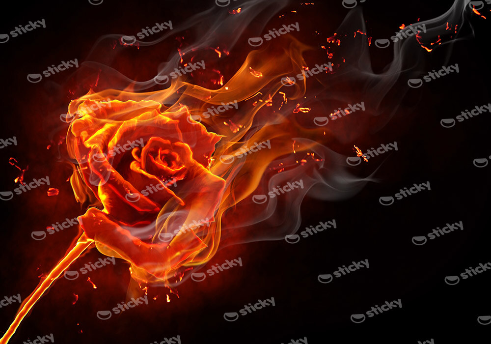 Πινακας σε καμβά BURNING ROSE