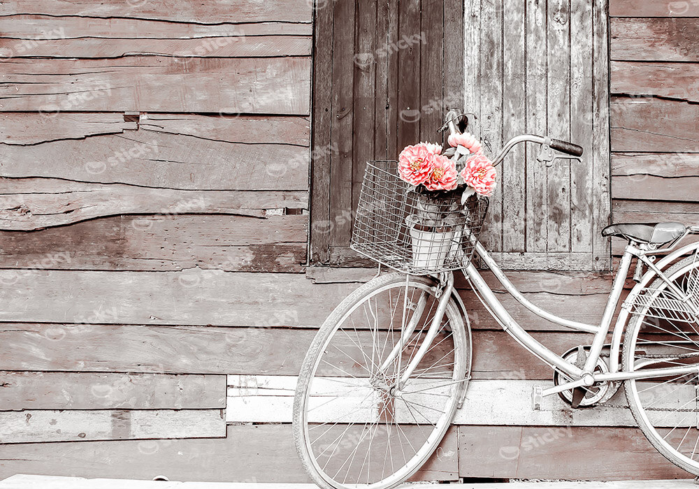 Πινακας σε καμβά VINTAGE BICYCLE 2