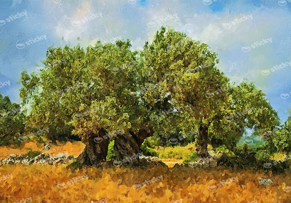 Πινακας σε καμβά OLIVE DRAWING 2