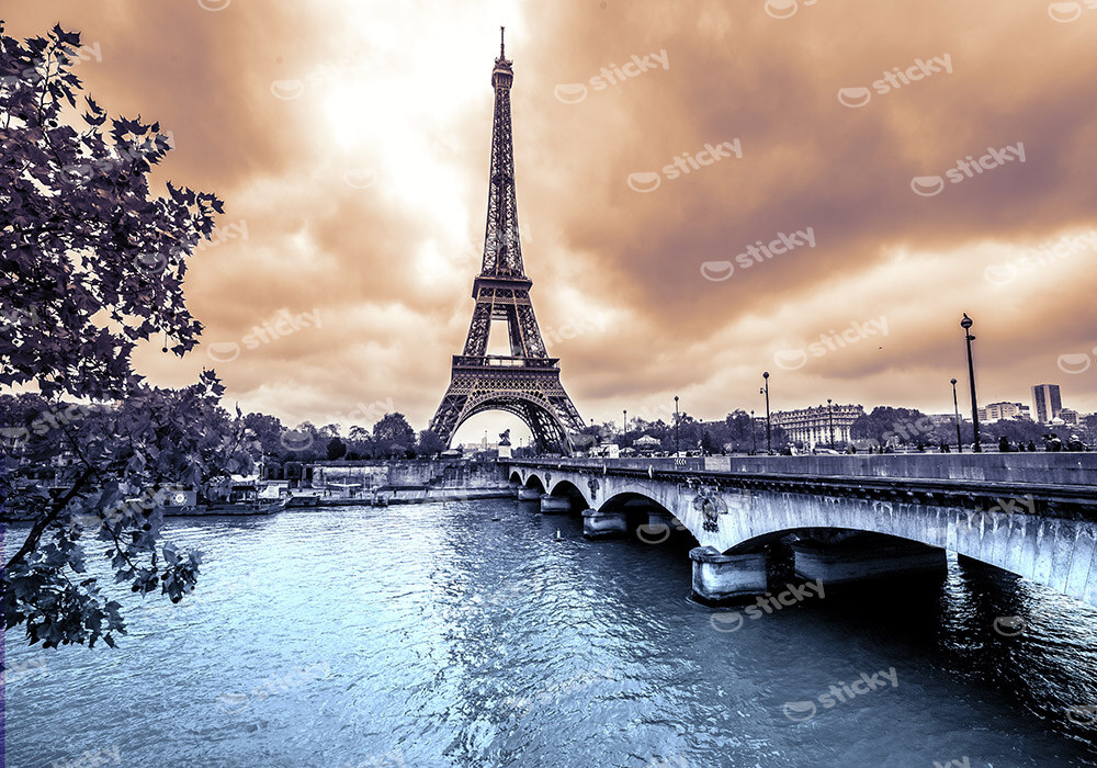 Πινακας σε καμβά EIFFEL BRIDGE