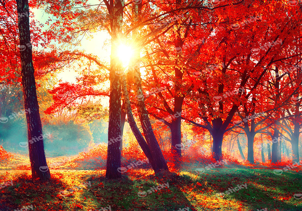 Πινακας σε καμβά AUTUMN FALL SCENE