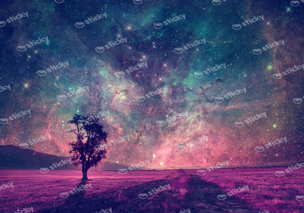 Πινακας σε καμβά MAGIC ALONE TREE