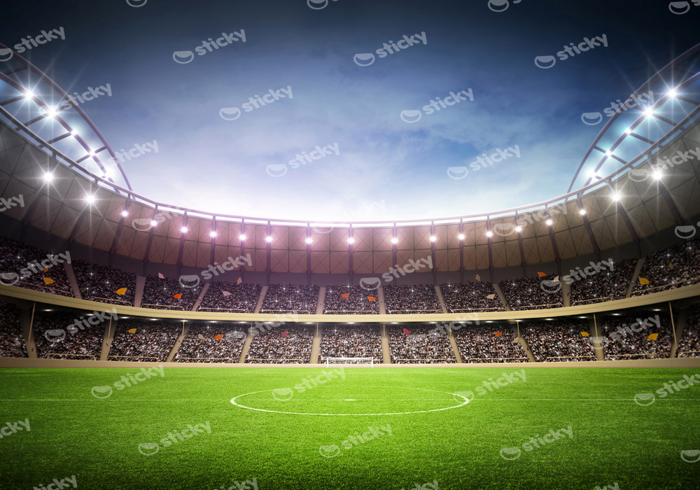 Πινακας σε καμβά STADIUM NIGHT