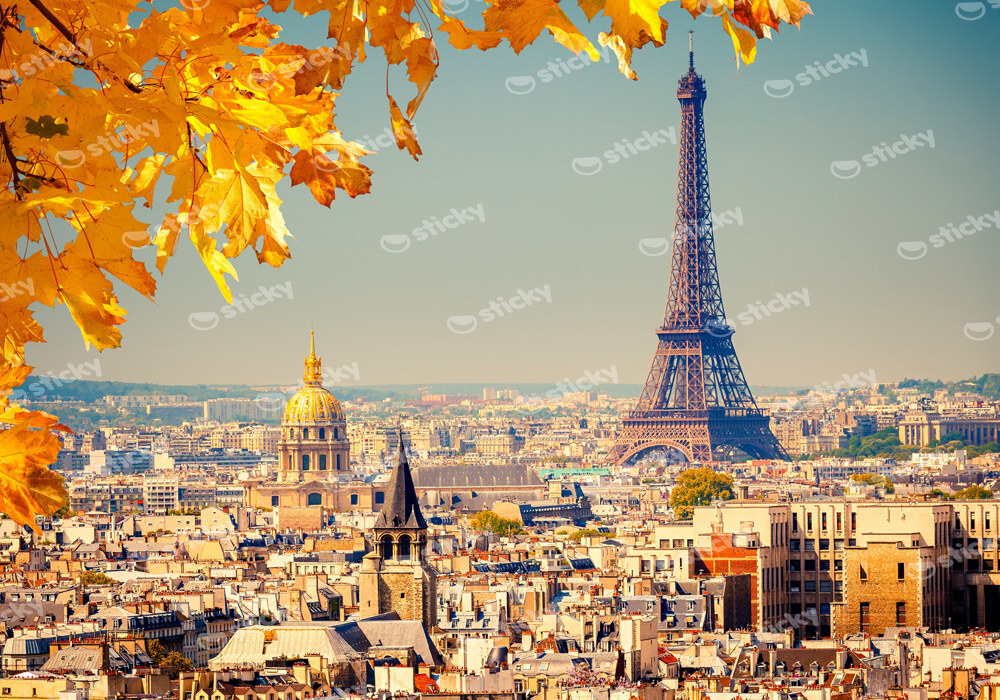 Πινακας σε καμβά YELLOW PARIS