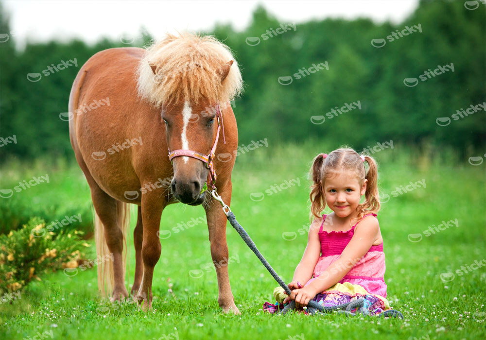 Πινακας σε καμβά GIRL PONY