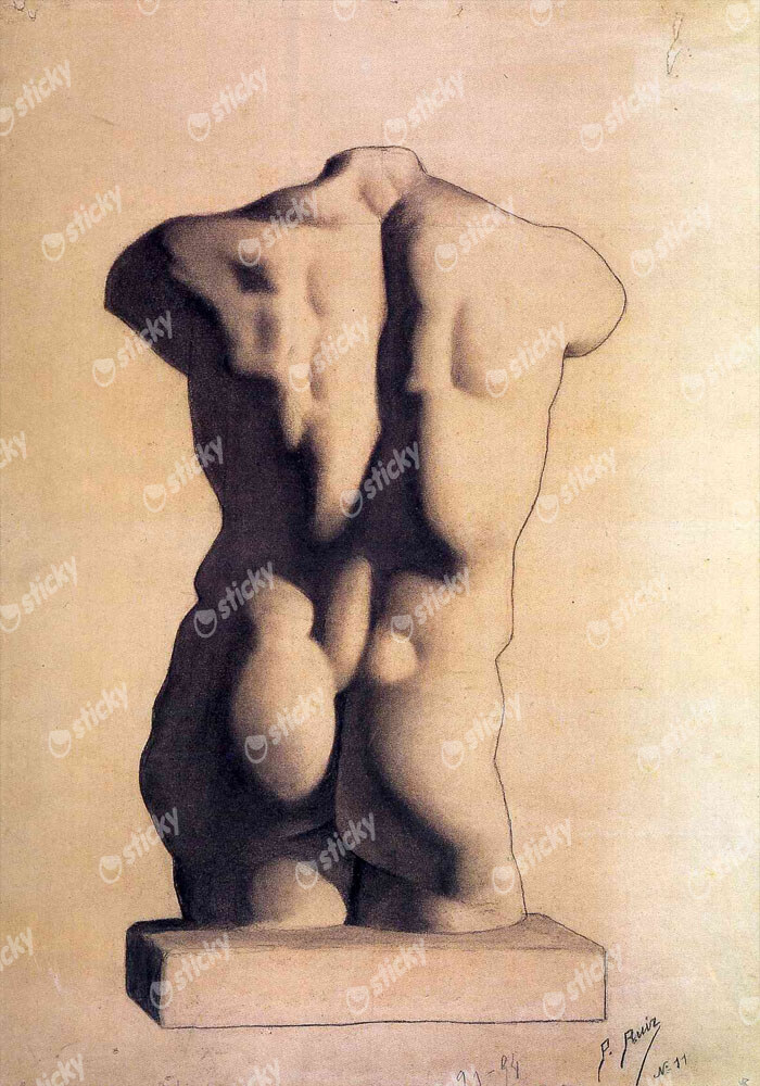 Πινακας σε καμβά PICASSO - PLASTER MALE TORSO