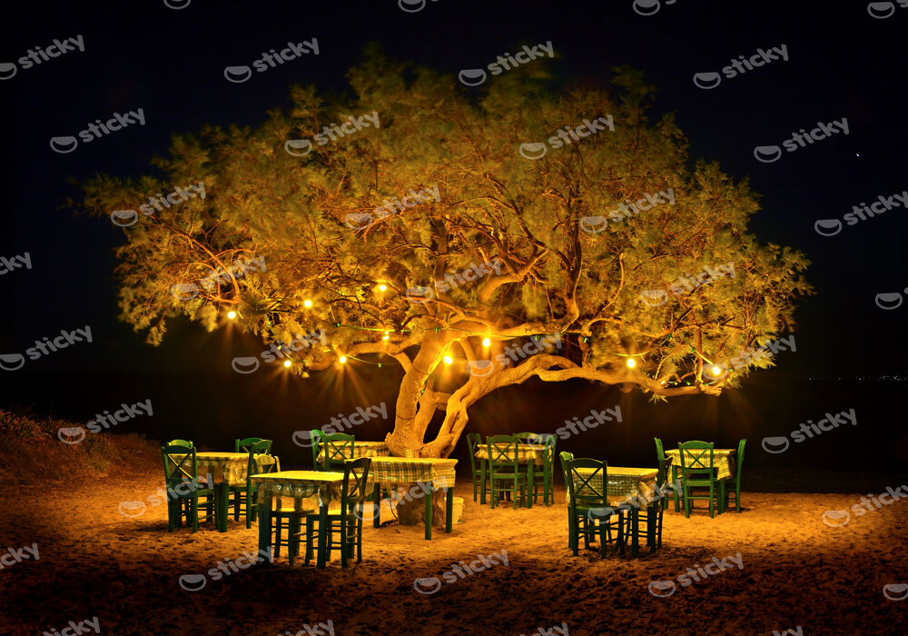 Πινακας σε καμβά TAVERN IN NAXOS