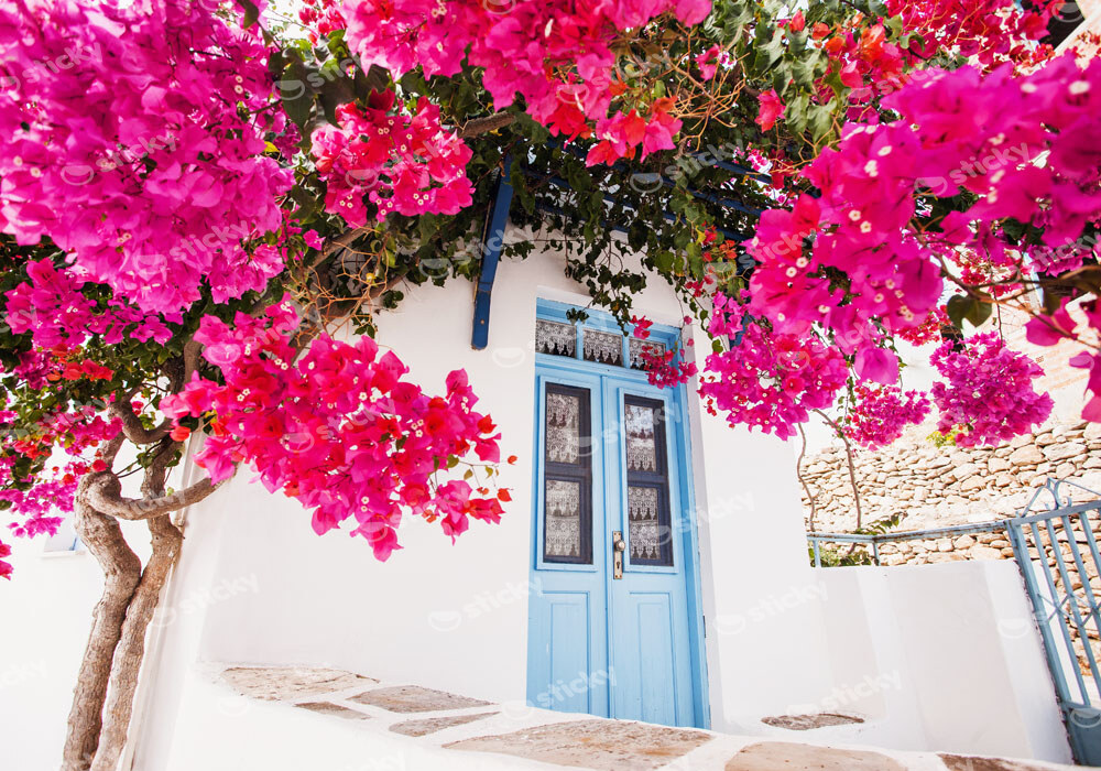 Πινακας σε καμβά HOUSE IN PAROS 2