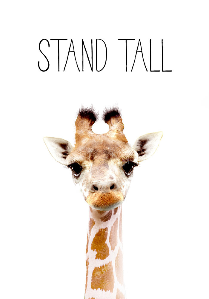 Πινακας σε καμβά CUTE GIRAFFE